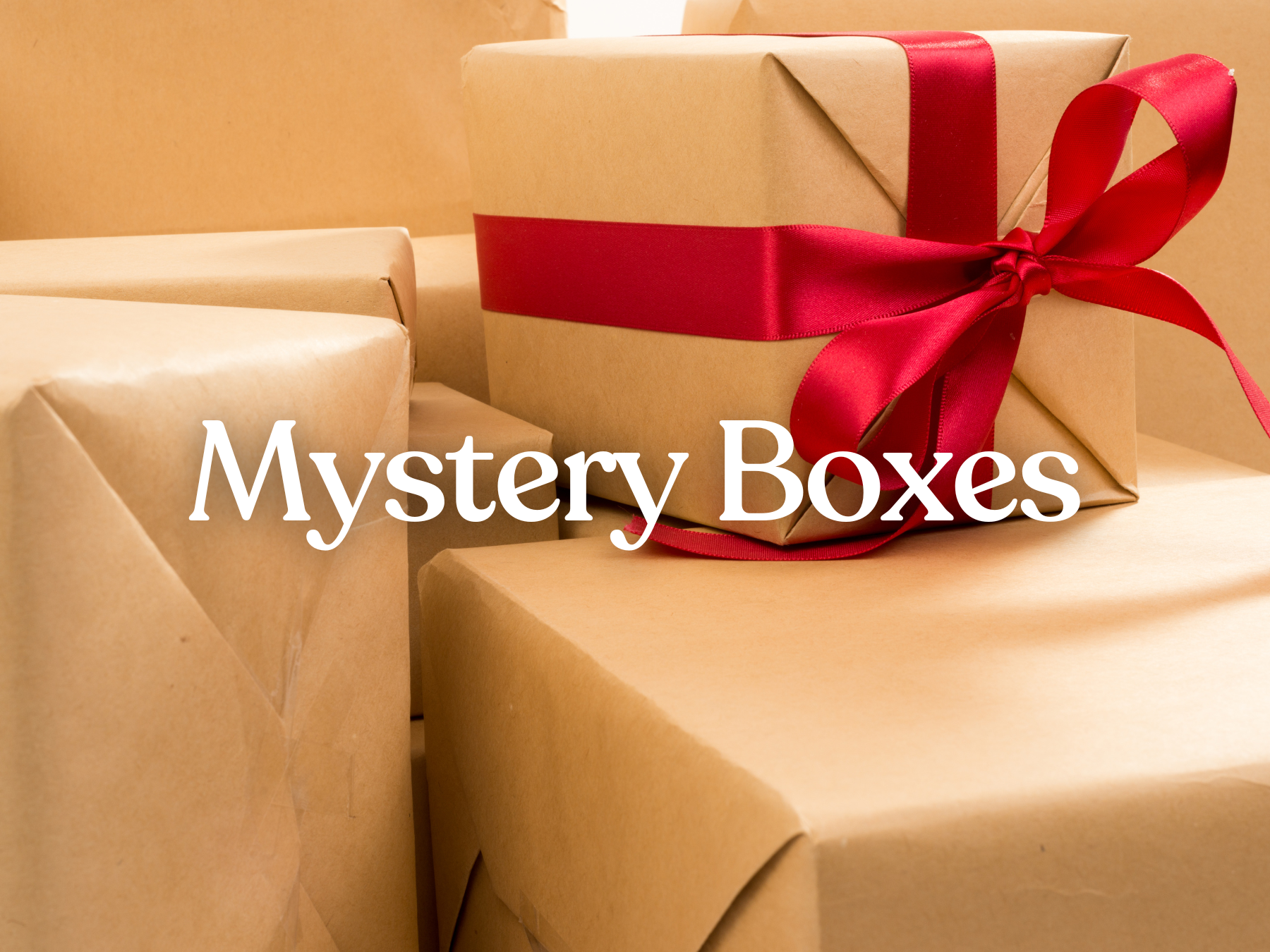 Mystery Boxes – Unclaimed Baggage