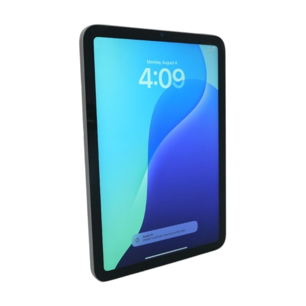 iPad Mini 7.9