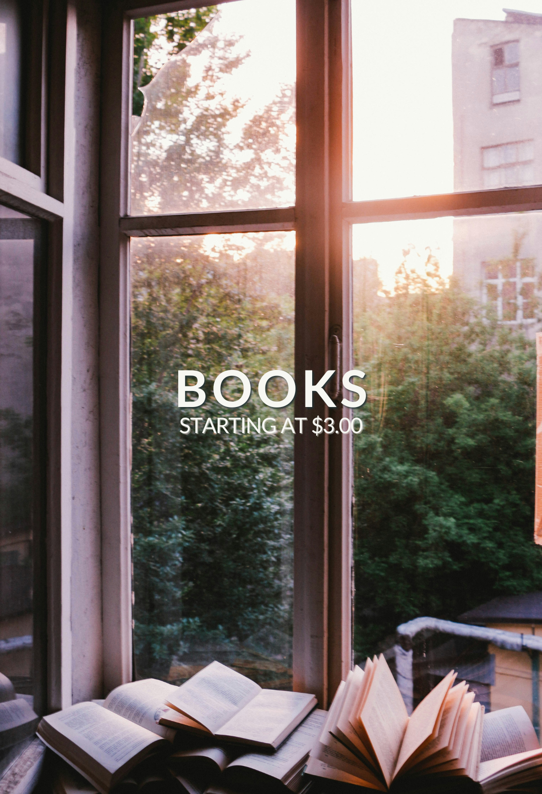 a corner window with books on the window sill