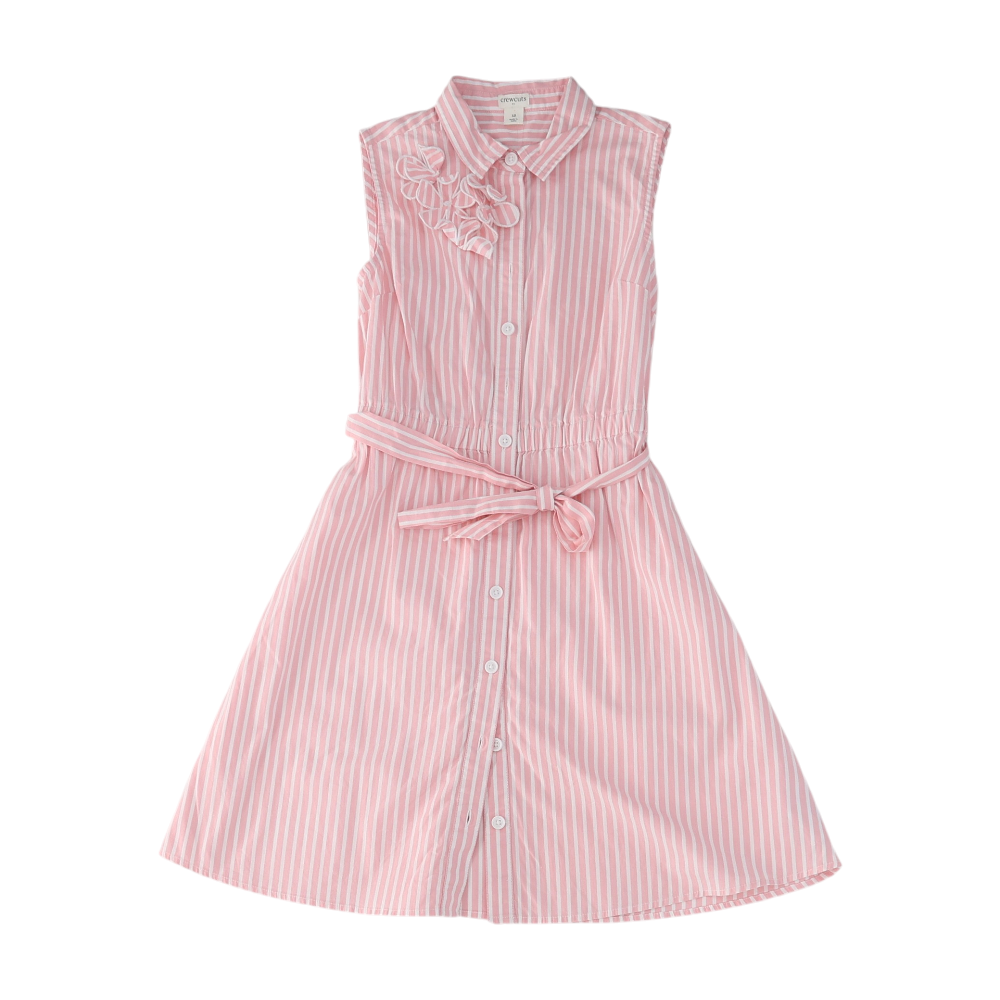 j crew pink gingham dress Women's Dresses