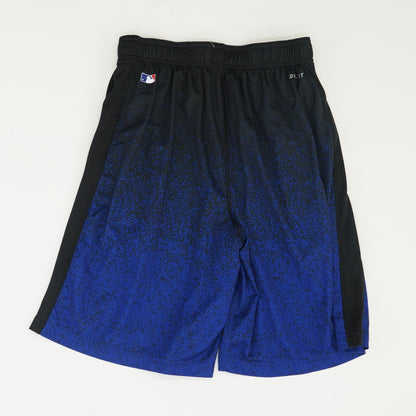 Blue Color Block Active Shorts