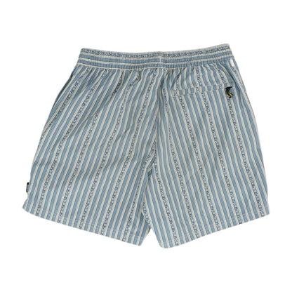 Blue Striped Swim Shorts