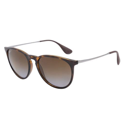Tortoise RB 4171 Round Sunglasses