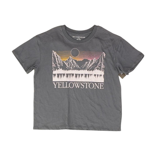 Gray Solid Crewneck T-Shirt