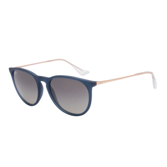 Blue RB 4171 Round Sunglasses