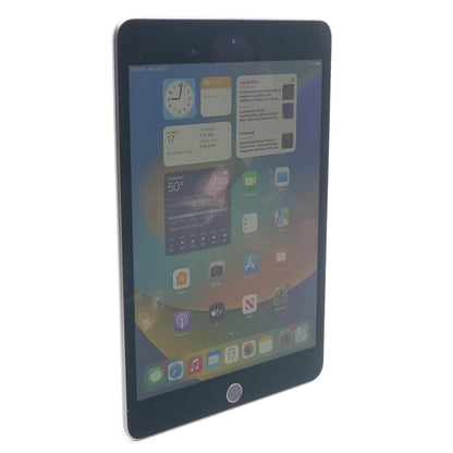 iPad mini 7.9" Space Gray 5th Generation 256GB Wifi
