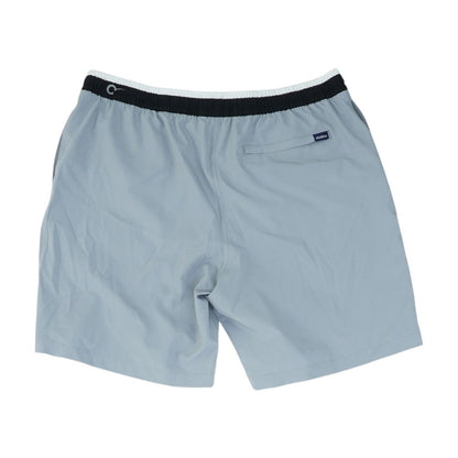 Gray Solid Swim Shorts