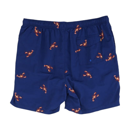 Navy Embroidery Detail Swim Shorts