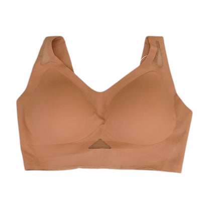 Brown Solid Bra