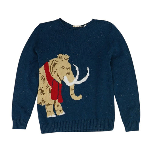 Blue Graphic Crewneck Sweater