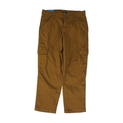 Brown Cargo Regular Pants