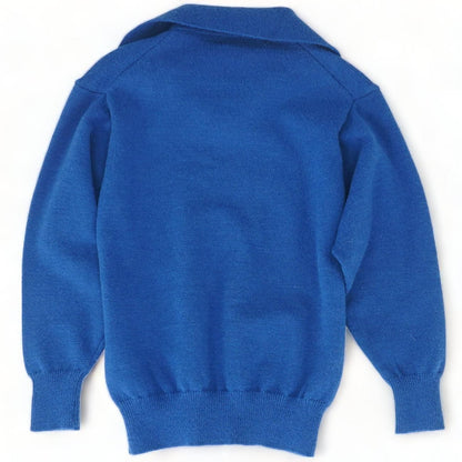 Blue Solid V-Neck Sweater