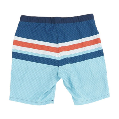 Multi Striped Swim Shorts