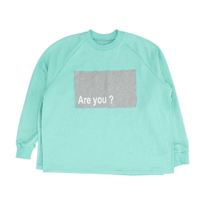 Turquoise Sweatshirt