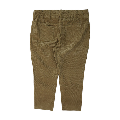 Brown Plus Regular Pants
