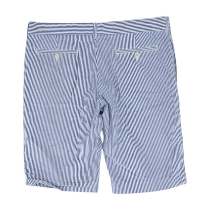 Blue Striped Chino Shorts