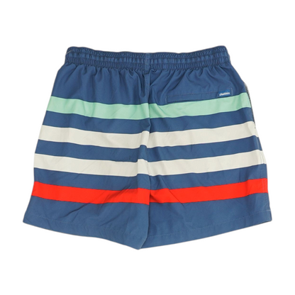 Multi Striped Swim Bottom