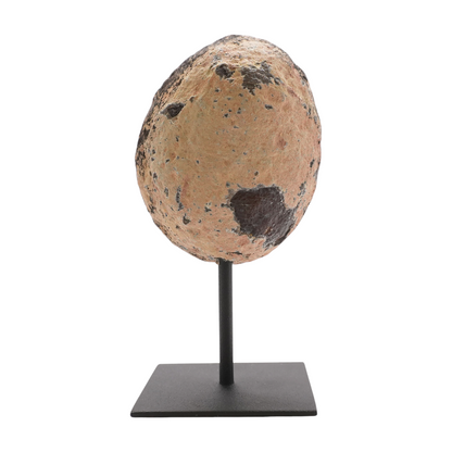 Agate Geode Display