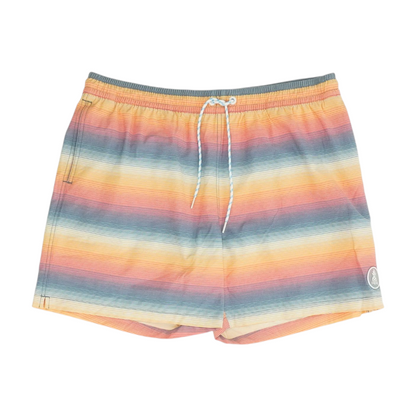 Multi Striped Swim Bottom