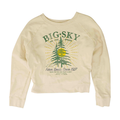 Cream Solid Sweatshirt Pullover