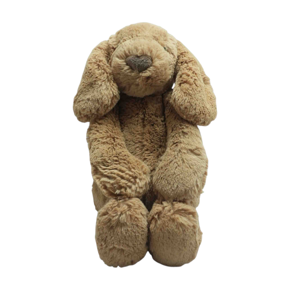 Bashful Toffee Puppy