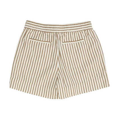 Brown Striped Active Shorts