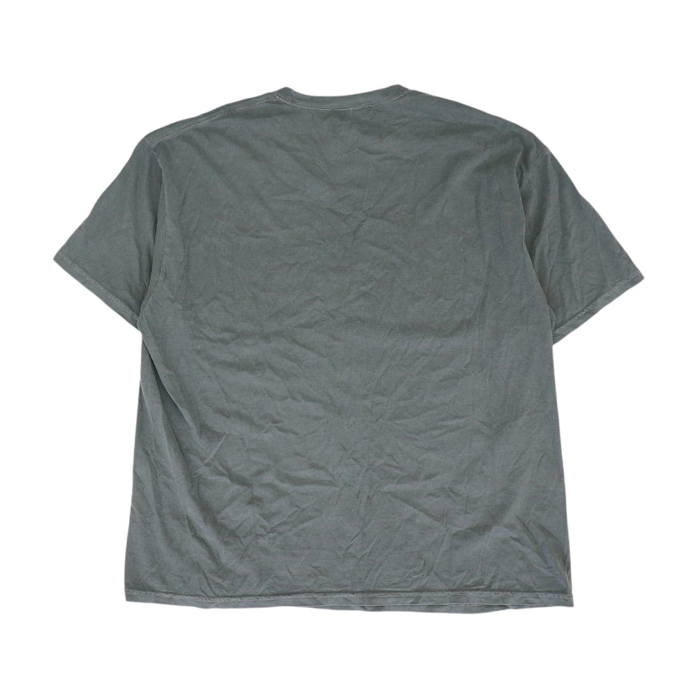 Gray Plus Size T-Shirt