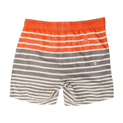 Multi Striped Swim Bottom