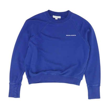 Blue Solid Sweatshirt Pullover