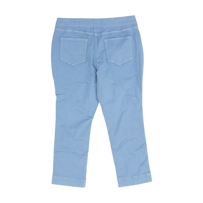 Blue Petite Pants