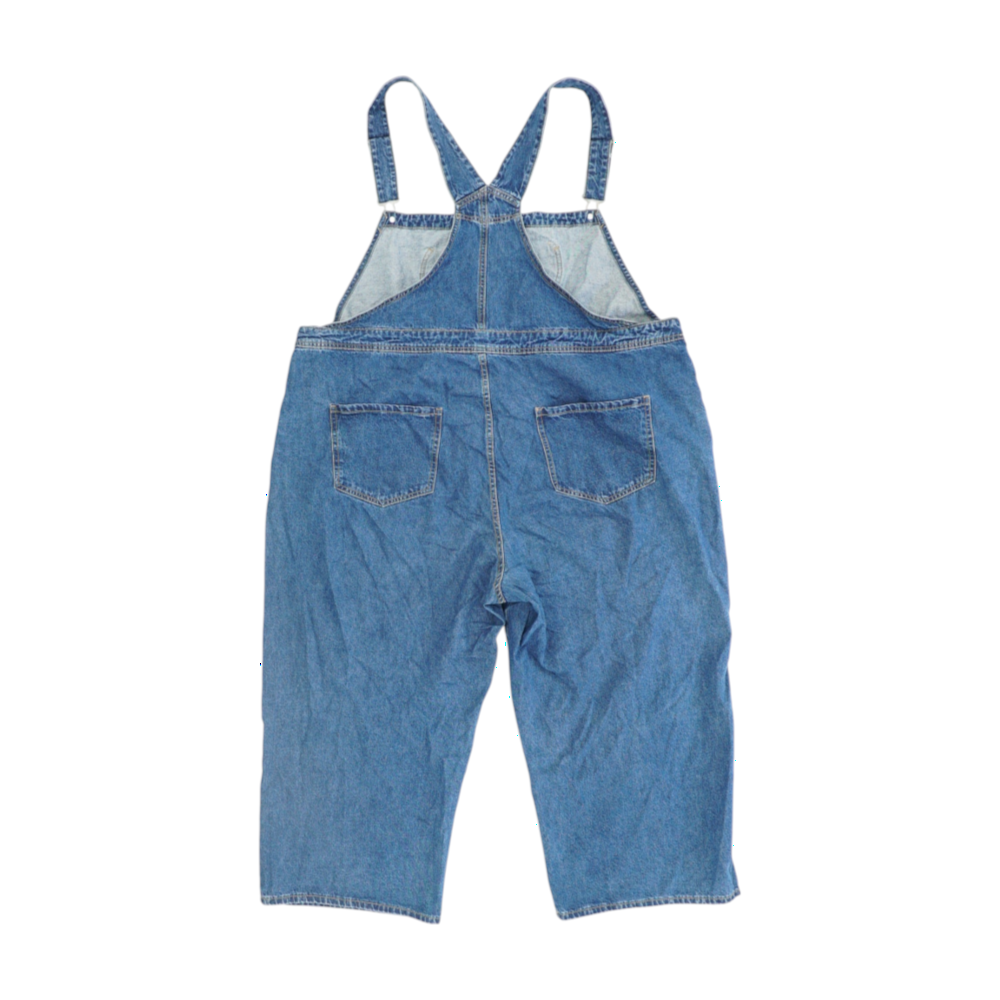 Blue Plus Size Regular Overalls