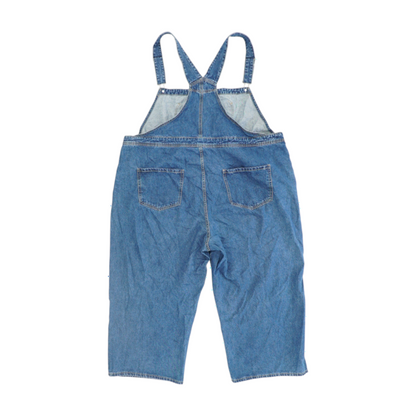 Blue Plus Size Regular Overalls