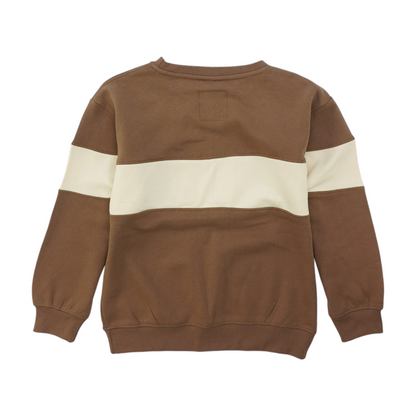 Brown Color Block Sweatshirt Pullover