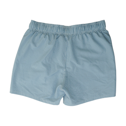 Blue Striped Swim Bottom