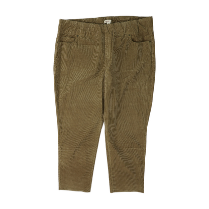 Brown Plus Regular Pants
