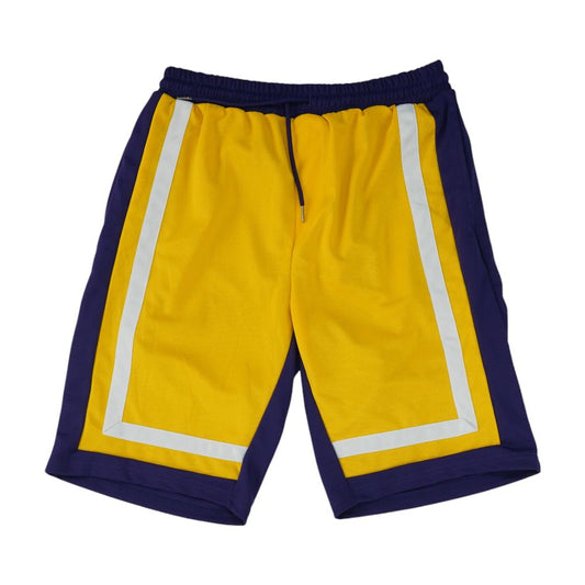 Purple Color Block Active Shorts
