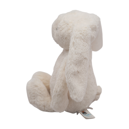 Boys Bears Mini Plush Toy