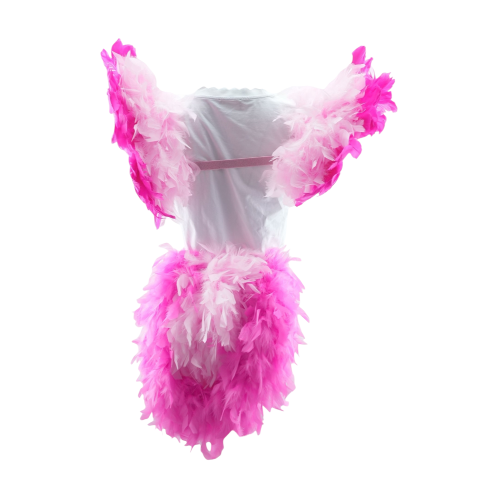 Women's Show Girl Feathers