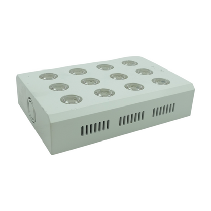 Mini Red Light Therapy Kit