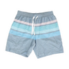 Gray Striped Swim Bottom