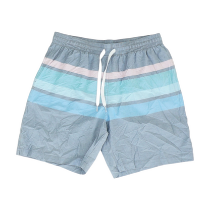 Gray Striped Swim Bottom