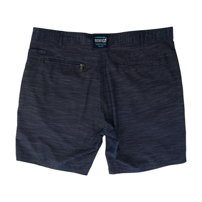 Blue Striped Chino Shorts