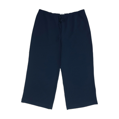 Ann Taylor Loft Navy Pants – Image 1