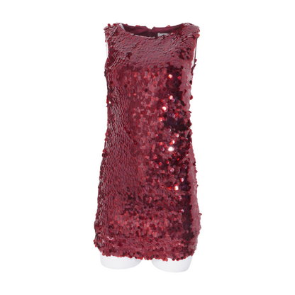 Maroon Mini Dress