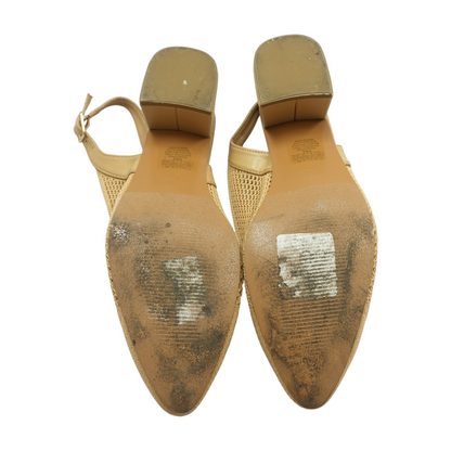 Tan Heels