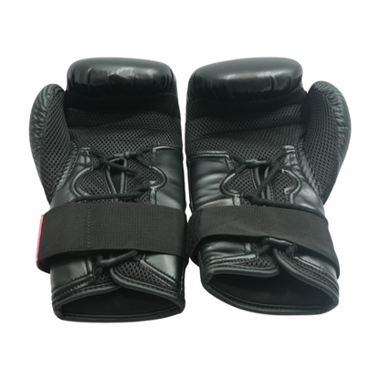 Hybrid 250 12oz Boxing Gloves