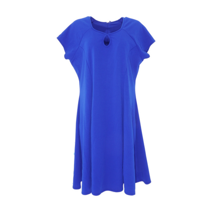 Blue Plus Midi Dress