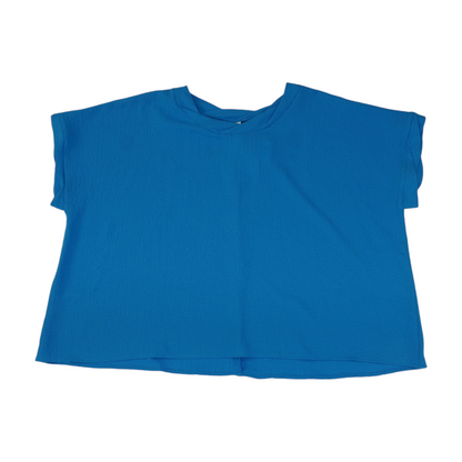 Blue Blouse