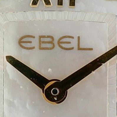 Brasilia Stainless Steel Watch