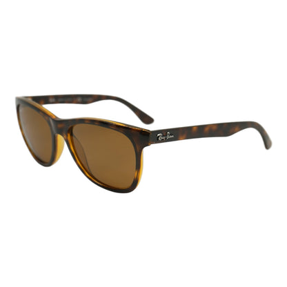 Tortoise RB 4184 Oval Sunglasses